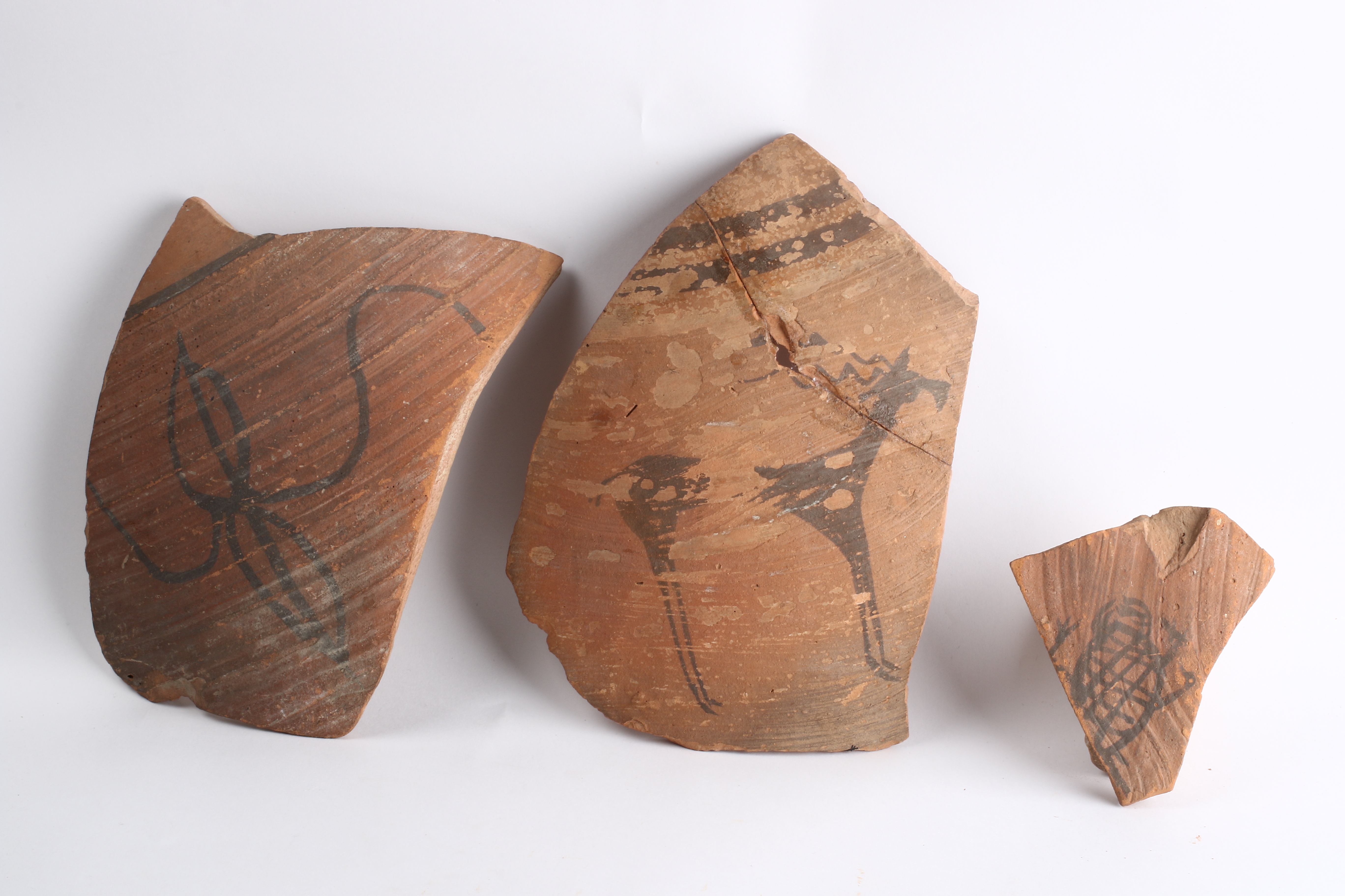 Early Harappan Pottery Art